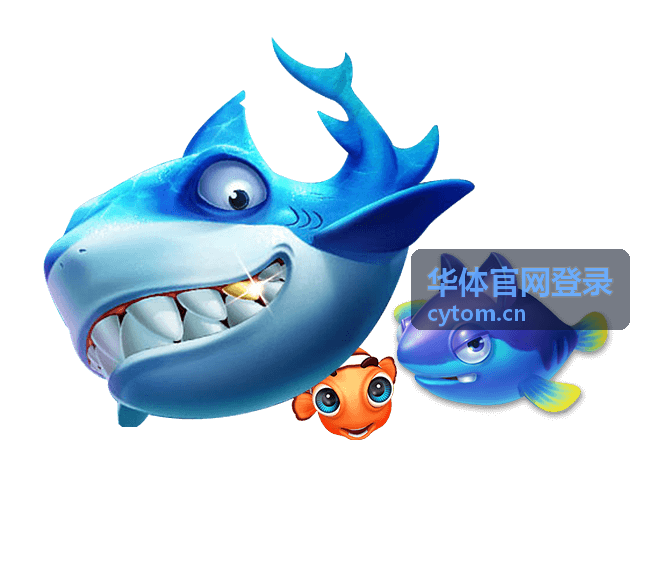 华体官网登录赛事组织场景缩略图